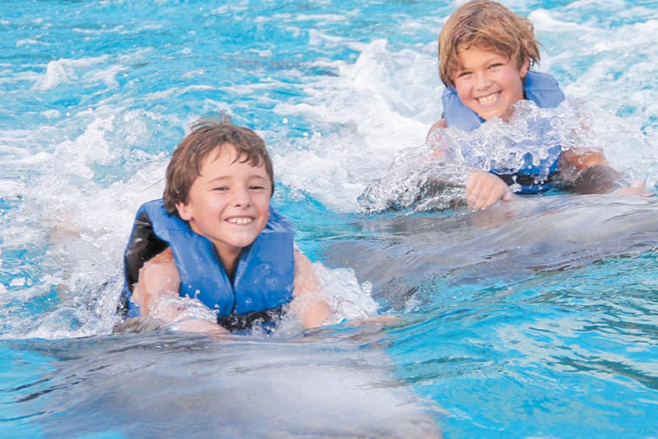 Cabo Dolphins