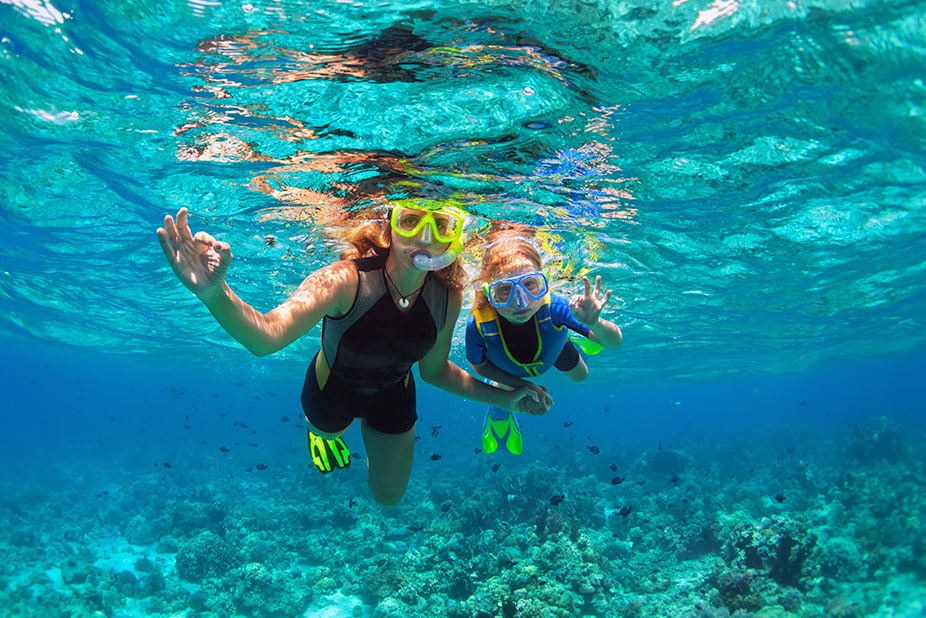 Cabo Snorkeling Tours