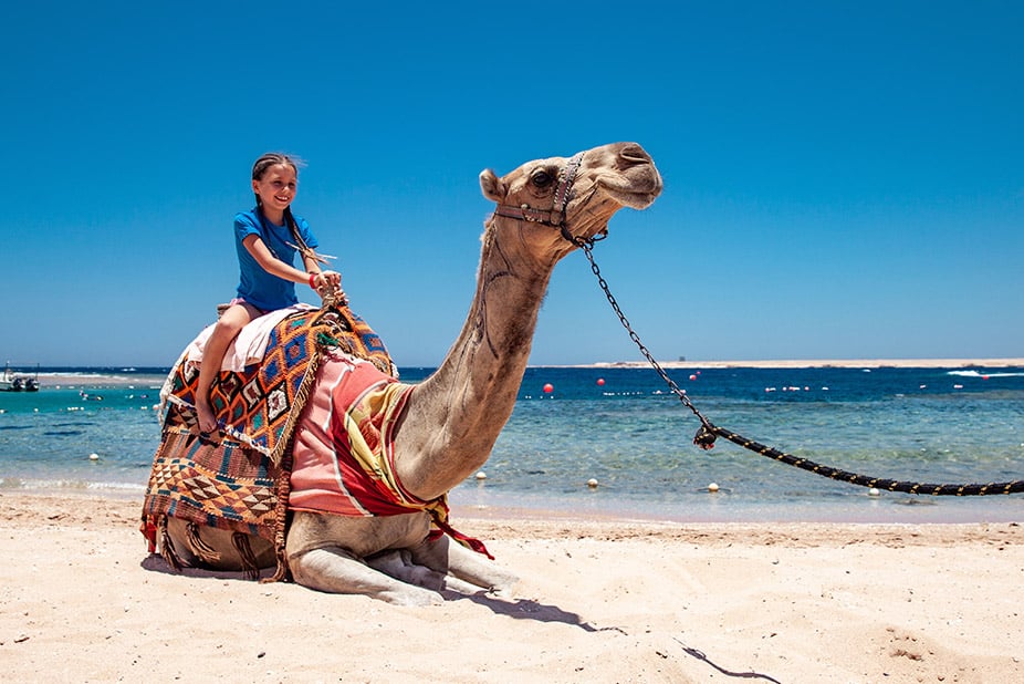 Cabo Camel Safari