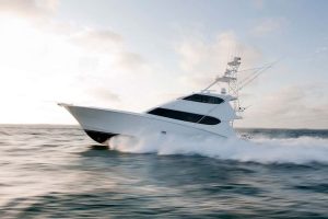 Cabo Fishing Charters