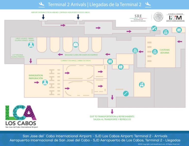 Cabo Airport Arrivals SJD International Airport