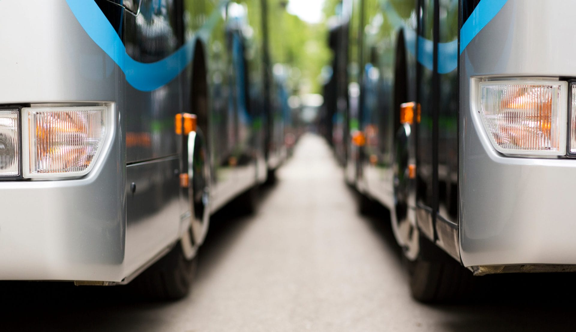 Cabo Shuttle Bus