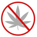 Is Cannabis legal in Mexico?