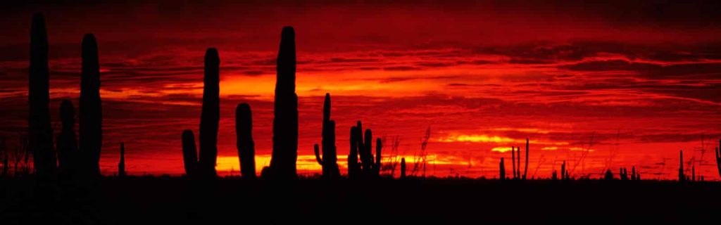 Los Cabos Airport Baja Landscape