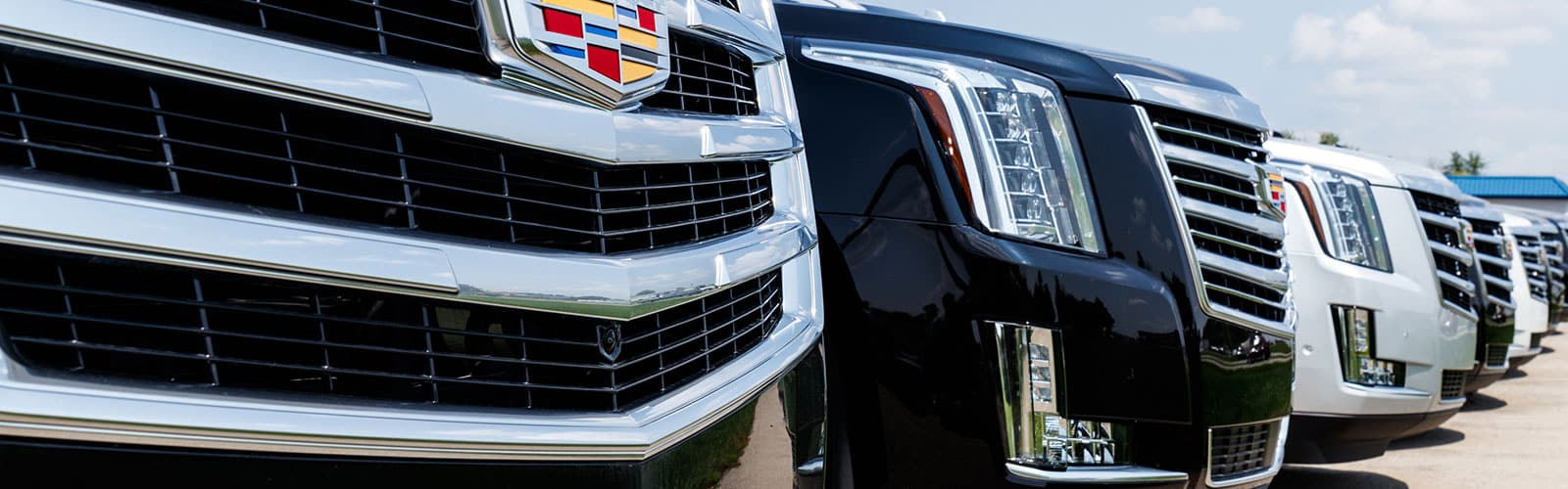 Cabo Airport Private Transportation Services SJD Airport