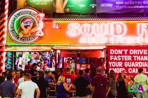 Squid Roe Night Club Los Cabos Squid Roe Night Club Los Cabos