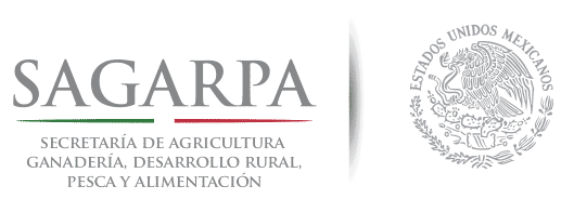 Secretaría de Agricultura, Ganadería, Desarrollo Rural, Pesca y Alimentación